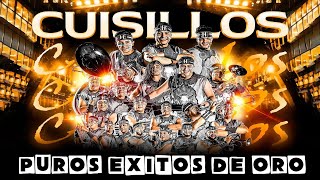 Banda cuisillos viejitas pero bonitas 😍😍😍 Puros Exitos De Oro [upl. by Bjorn138]