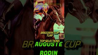 Breeders Cup Turf  Top Selections [upl. by Elleunamme]