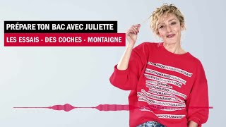 Les Essais  Des coches  Montaigne  Prépare ton bac avec Juliette [upl. by Eillo]