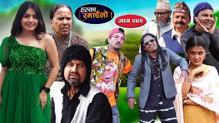 Halka Ramailo  हल्का रमाईलो  Episode 242  04 August  2024  Balchhi Dhurbe  Nepali Comedy [upl. by Boyer]