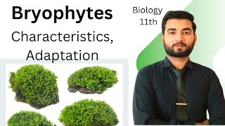 Bryophytes characteristics and Adaptations class 11  Biology [upl. by Baiss811]