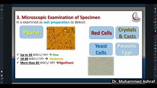 Urogenital Microbiology practical [upl. by Tufts]