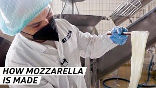 How One of the Worlds Biggest Mozzarella Distributers Makes its Cheese — Vendors [upl. by Akienaj]