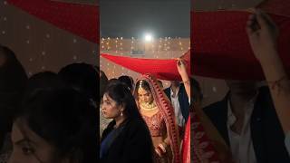 Din shangna Da 🥰 bridal entry ❤️song weddingdiaries bridalentry weddingvideo shortsytshorts [upl. by Sapers]