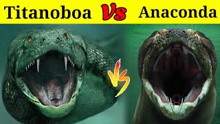 Titanoboa Vs Anaconda  क्या होगा जब खूँखार टाइटेनोबोआ का मुकाबला होगा Amazon के एनाकोंडा साँप से [upl. by Euginimod]