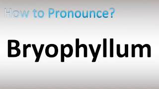 How to Pronounce Bryophyllum [upl. by Gonroff830]