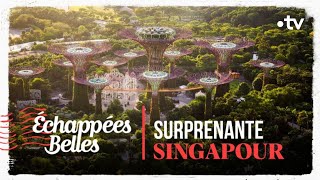 Surprenante Singapour  Echappées belles [upl. by Fidelio]