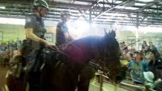 QPS Mounted Unit at the Ekka 2011 [upl. by Htims]