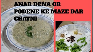 HOW TO MAKE ANAR DANA PODENA CHATNI [upl. by Eelydnarb869]