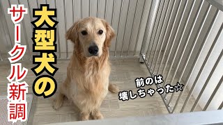 大型犬用のサークル組み立ててみた [upl. by Zusman]