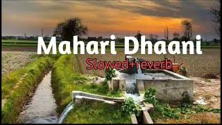 Mahari Dhaani main SLOWEDREVERB  Haryanvi song [upl. by Ullyot]