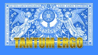 Tantum Ergo Sacramentum Free SHEET MUSIC amp LYRICS FluteRecorder Cover [upl. by Shalne]