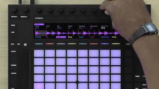 Learn Push 2 Sampling Workflow overview [upl. by Delaine893]