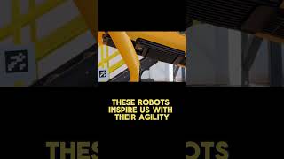 Boston Dynamics The Incredible Robots of Today [upl. by Isola]