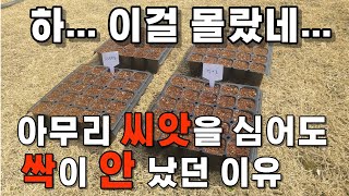 아무리 씨앗을 심어도 싹이 나지 않았던 이유 파종 방법과 씨앗 발아를 위해 주의해야 할 사항 [upl. by Reeve635]