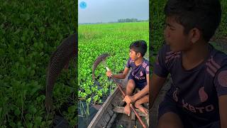 😲 Best Boat Fishing With Kotch 🌻part 145boatfishing viral shorts fish naturalfishingbigfish [upl. by Ladnyc]