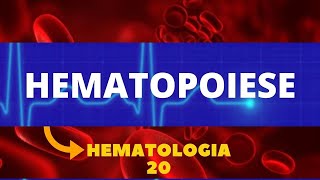 HEMATOPOIESE  HEMATOLOGIA  AULA 20 [upl. by Scevo]