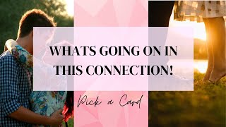 Pick a Card 🥰💋 WHATS GOING ON IN THIS CONNECTION 💋🥰 Timeless Tarot Reading [upl. by Initirb]