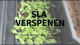 TM1812  Sla verspenen en een overzicht van de plantjes [upl. by Anahsat]