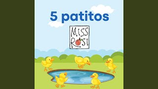 5 patitos [upl. by Carpet104]