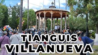 TIANGUIS VILLANUEVA [upl. by Marget]