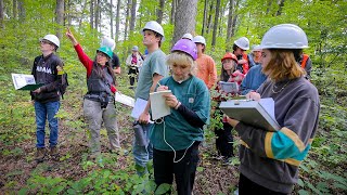 Forest ecology students learn to identify microhabitats [upl. by Lita601]