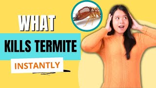 What Kills Termite Instantly Quick amp Proven Methods [upl. by Schurman950]