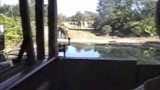 Kilimanjaro Safaris 2003 04 10 elephant [upl. by Ahseekat]