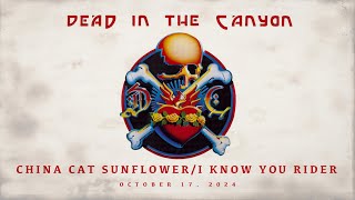 quotChina Cat SunflowerI Know You Riderquot  Dead In The Canyon  October 17 2024 [upl. by Fronia]