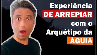 EXPERIÊNCIA DE ARREPIAR COM O ARQUÉTIPO DA ÁGUIA [upl. by Ennaesor]