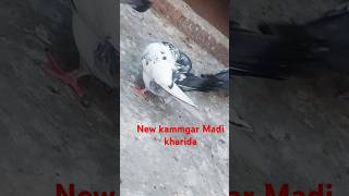 Apne kamagra🎉 nar ka Joda lagane 🎉ke liye Maine 💫ek nai madikammgar kharida🎉🕊️🕊️ [upl. by Pip]