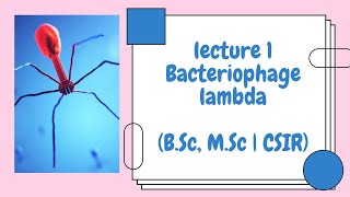 Bacteriophage Lambda  Lecture 1 Introduction [upl. by Trebloc811]