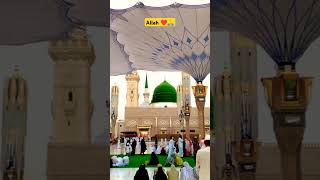 Wo Mera Nabi HaiNew Naat 2024viraltrendingviralnaatmadinamuhammadpopularstatusمدینہمحمد [upl. by Eilyah973]