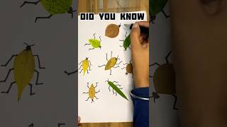 Easy Insect 🐞 drawing 💡 artisttrytomakebestartist youtube shortstrending [upl. by Stralka]