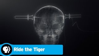 RIDE THE TIGER  The Benefits of Electroconvulsive Therapy  PBS [upl. by Llewsor]