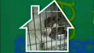 animal hospital intro 1992 [upl. by Malissa]