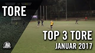 TOP 3 Tore  Januar 2017  ELBKICKTV [upl. by Dahraf]