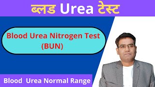 What is Urea Blood Test in Hindi  Normal Range amp High Value Explained  Kidney Test [upl. by Ellehsat824]