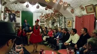 Flamenco in Sacromonte Granada [upl. by Sholem]