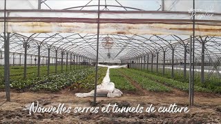 SERRES DE CULTURE  TUNNELS EN PLASTIQUE [upl. by Calvina847]