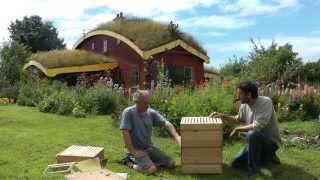 Beekeeping  How to use the Rose Hive Method Part 1 [upl. by Elise]