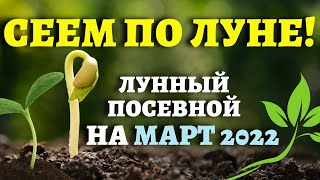 ТОЧНЫЙ ЛУННЫЙ ПОСЕВНОЙ КАЛЕНДАРЬ НА МАРТ 2022 по дням лунныйпосевнойкалендарь март2022 [upl. by Neerroc]