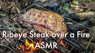 RIBEYE STEAK over a Campfire ASMR with the Bed Roll Cook Set Dave Canterbury [upl. by Efinnej55]