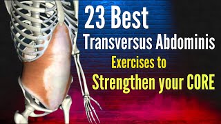 Preventing and eliminating low back pain Strengthening the Transversus Abdominis  23 TvA exercises [upl. by Sumetra122]