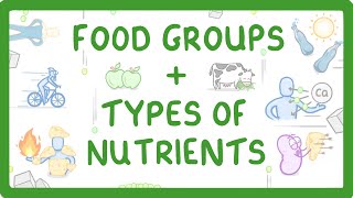 GCSE Biology  What are Nutrients Carbohydrates Lipids Proteins Vitamins amp Minerals 15 [upl. by Maurer302]