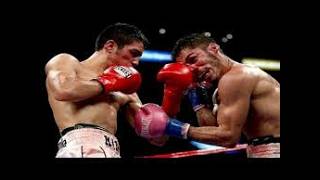 ANTONIO DEMARCO VS JORGE LINARES  FULL FIGHT HIGHLIGHTS TKO [upl. by Yhtuv]