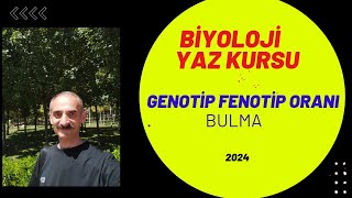 genotip ve fenotip oranı bulma [upl. by Sergio357]