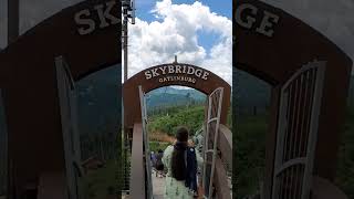 Beautiful Gatlinburg Tennessee SKYBRIDGE travel Tennessee vacation [upl. by Airalav]