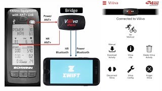 How to Zwift on a Spinning Bike  Taking Indoor Cycling on the Road [upl. by Allekim]