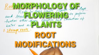 Morphology of flowering plants  Root modifications Inter 1st yr botany EAMCET  NEET BIOLOGY [upl. by Kwasi]